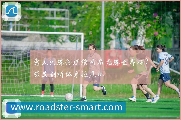 世界杯克罗地亚队点评:从莫德里奇到未来的传承之路
